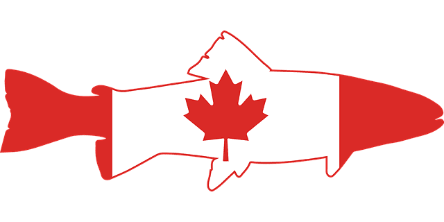 تقديم طلب هجرة إلى كندا اون لاين