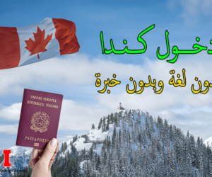 تقديم طلب هجرة الى كندا اون لاين بدون لغة وبدون خبرة